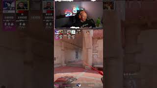 #mrdzinold na #Twitch | Majszi,To sie nagrało XD