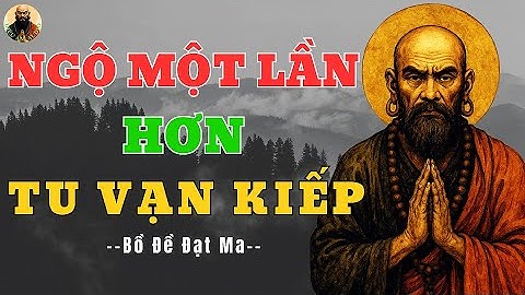 BỒ ĐỀ ĐẠT MA : NGỘ Một Lần Còn Hơn Tu Vạn Kiếp Mà Không Thấy TÁNH | Xem Để Hiểu Đạo