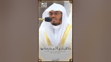 ادْعُوا رَبَّكُمْ تَضَرُّعًا وَخُفْيَةً ۚ  | ما تيسر من سورة الأعراف - فضيلة الشيخ أ.د ياسر الدوسري.