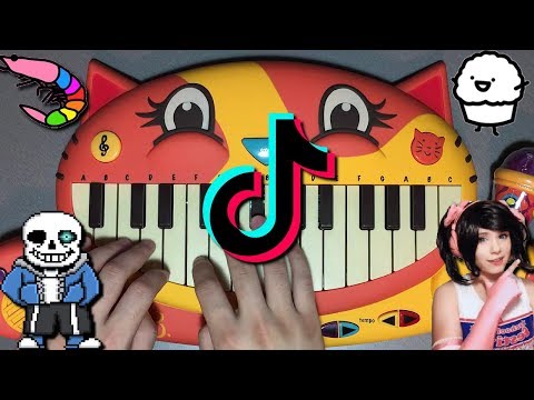 tik-tok-songs-on-cat-piano