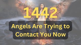 Angel Number 1442 Meaning: What You Need To Know Now
