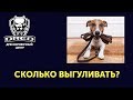 Сколько времени выгуливать собаку?