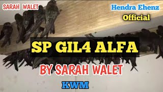 SP GIL4 ALFA UJI COBA TERBUKTI GELOMBANG ALFA BY SARAH WALET KWM