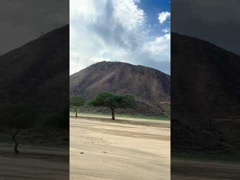 الله من قلب مثل نتلتة الوح