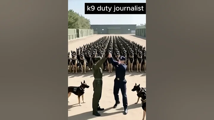 Side by Side with K9: 5 Seconds of Elite Training #shorts #k9unit  #shortvideo