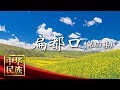 《中华民族》 扁都口 第四集 祁连花开 20180714 | CCTV