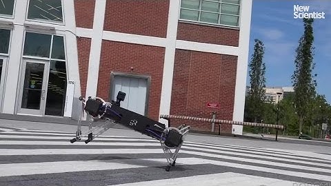 Ghost Minitaur: the bouncy robot that can go anywhere