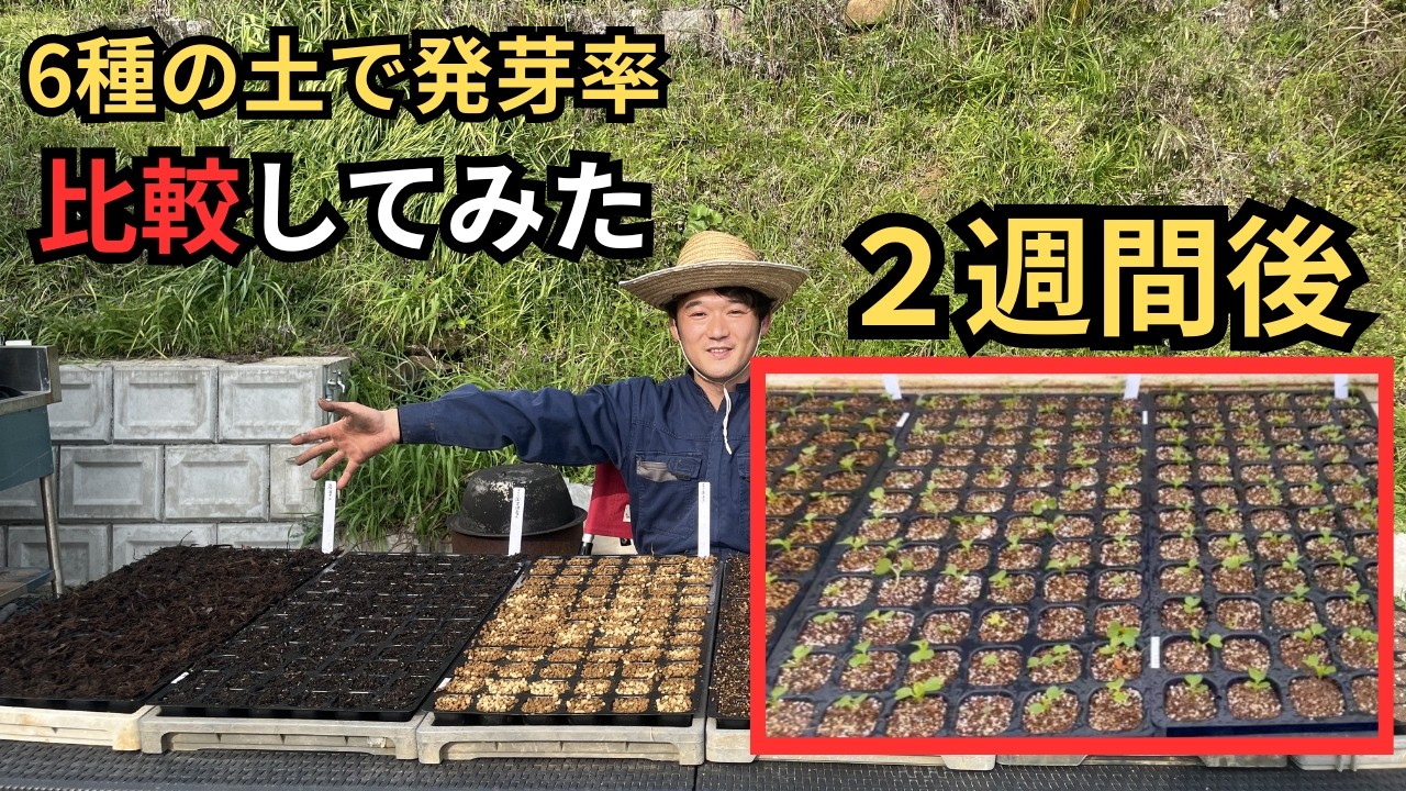 After growing plants in six different types of soil, the results