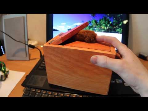 useless box with cat