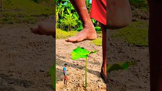 Try this Creative videography #shorts #videography #idea