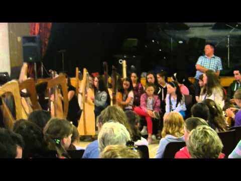 Harps in Keadue Co Roscommon