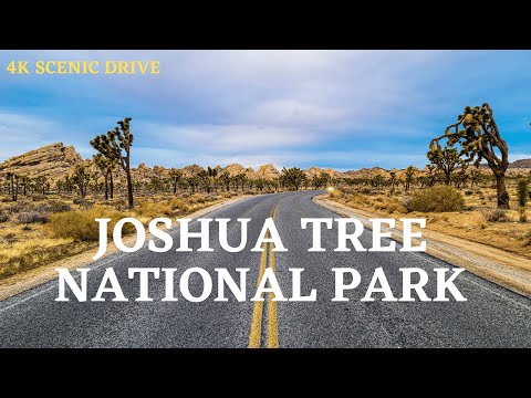 Joshua Tree Transportation