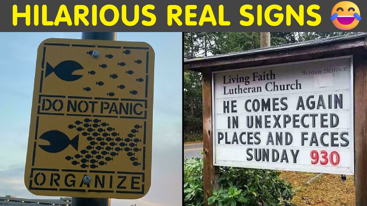 Hilarious Real Signs That Actually Exist 😂 | Humor Sweet - YouTube