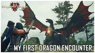 Dragons Dogma 2 My First Dragon Encounter at lvl 18
