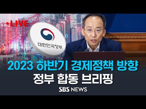 2023 하반기 경제정책 방향은? 정부 합동 브리핑 (이 시각 정부서울청사) / SBS