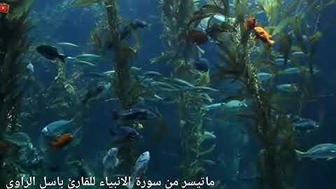 تلاوة وذا النون اذ ذهب مغاضبا للقارئ باسل الراوي