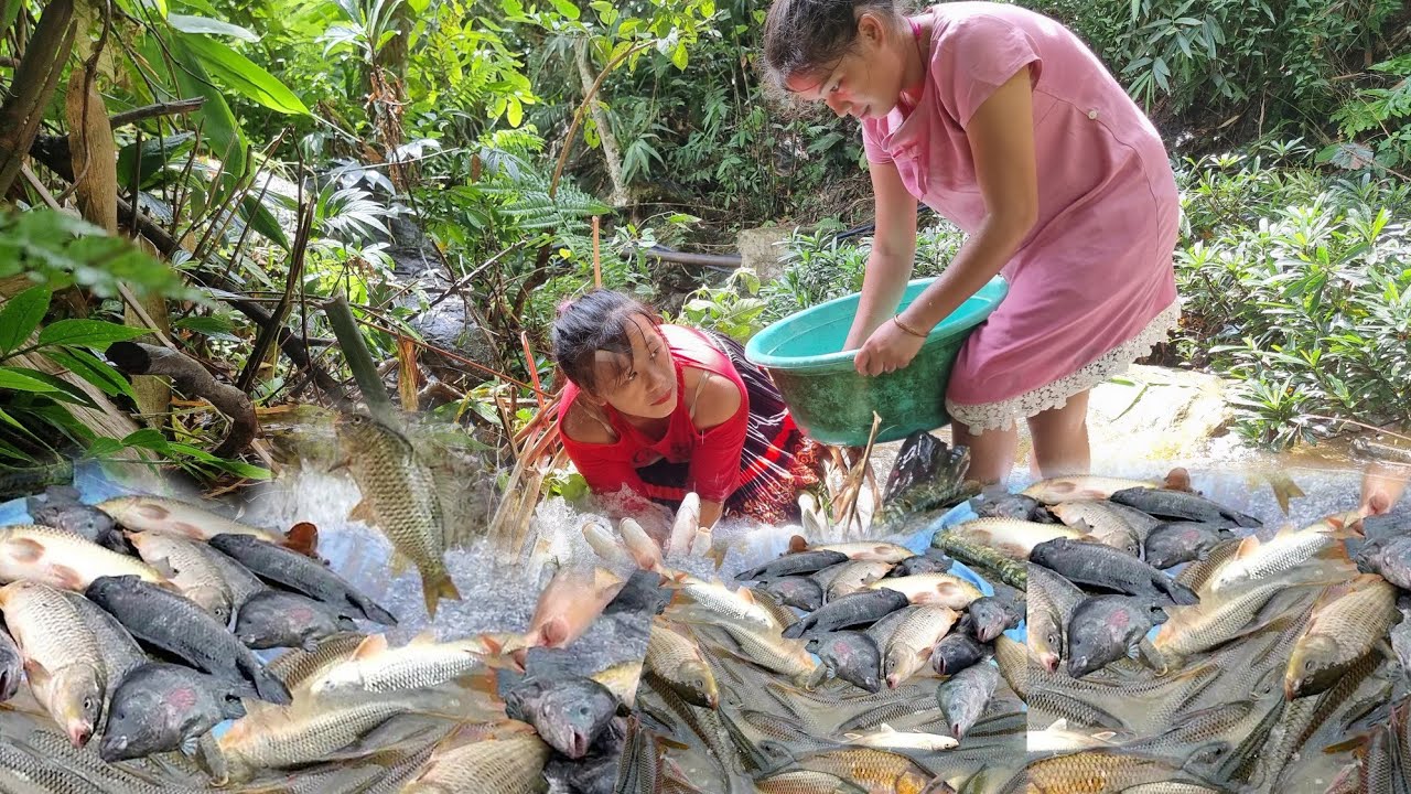 Two sisters weave bamboo to catch stream fish to sell - YouTube