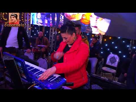 سيكو سجنوا حبيبى يابا مليونية حسام فشكل 2023 مايسترو مها عبد المؤمن قناة حماده زناتى 01000539810 