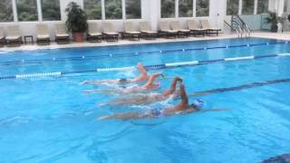 Total Immersion Pan Pac Sync Swim