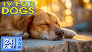 24 HOURS of The Best Fun & Dog TV: Anti Anxiety and Boredom Busting Videos with Music for Dogs #2