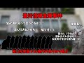 猫ミームでわかる豊川信用金庫事件#猫ミーム #猫マニ #猫ミーム茶番劇