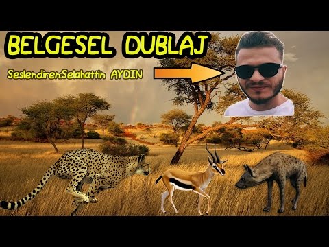 Çarşamba şivesi Belgesel - Selahattin Aydın