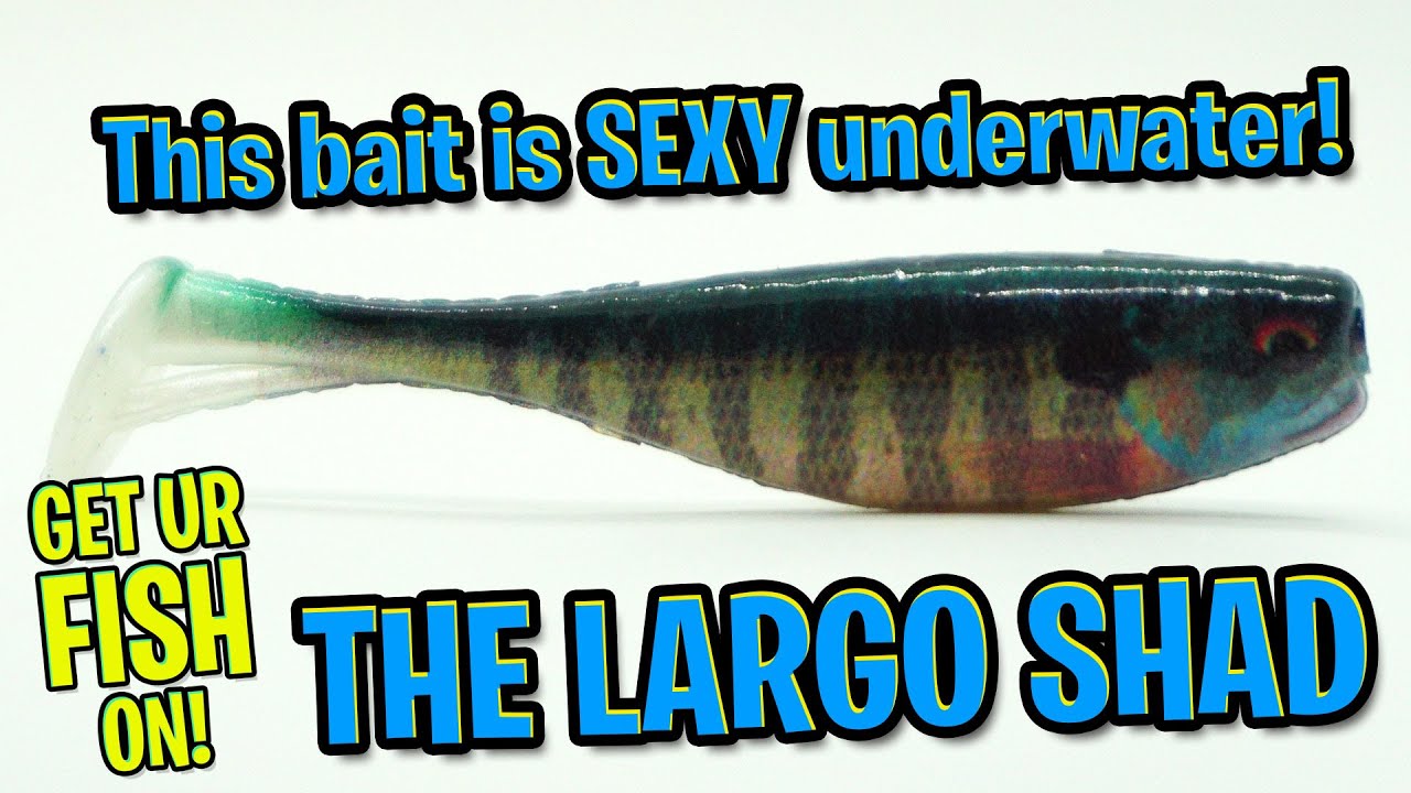 Storm Largo Shad Largemouth Bass Fishing Swimbait 