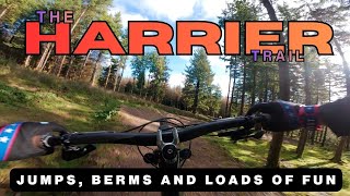 Slieve Bloom Mountain Bike Trails PT 1 : A run down Harrier - Fast and Fun