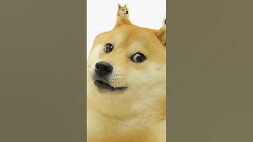 PLAY TO EARN #shorts #youtubeshorts #crypto #bitcoin #playtoearn #games #money #success