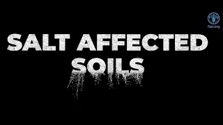 Salt-affected soils: discovering a missed reality