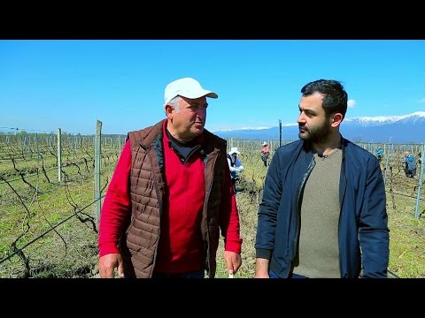 23 აპრილს, 12:45 საათზე, \"ფერმა\"