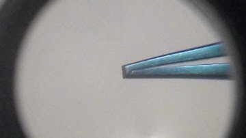 Titanium Bishop-Harmon 1x2 Teeth Forceps
