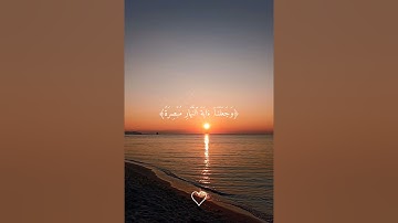 تلاوة هادئة🎧😴 من الشيخ ياسر الدوسري🤍✨️ #قرآن #ياسر_الدوسري #اذكرو_الله #صلوا_على_النبي #راحة_نفسية