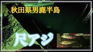 2026.5.7【秋田県遠征】今が旬の尺鯵を釣れ！