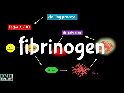 Video: Ką reiškia fibrinopūlingas?