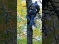 Hanging a Deer Stand by Myself #deer #deerhunting #youtubeshorts #hunting