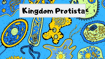 Kingdom of  Protista