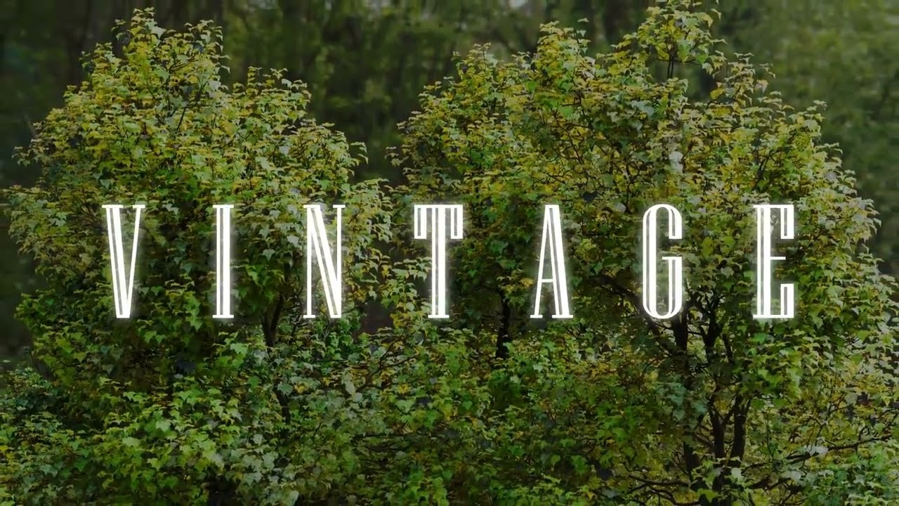 VINTAGE - My First 3d Animation
