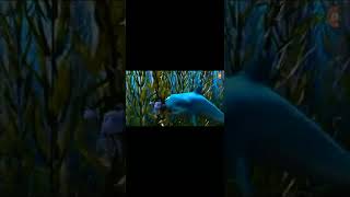 Cuttlefish Was Stuck By The Kelp