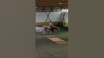 Winnie’s first try with the bitless bridle 🤭