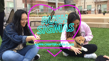 Girls Just Wanna Have Fun | Dallas Sigma Phi Omega Spring 2019 Recruitment