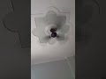 comedy video#shorts #mini vlog