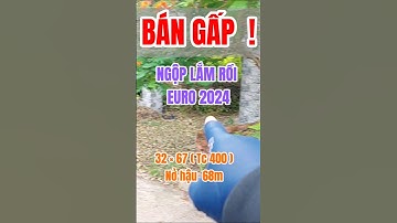 Đất Dầu Tiếng I Ngộp EURO 2024 lắm rồi anh em,  bán gấp 32 × 67 ( Tc400)#kimbds