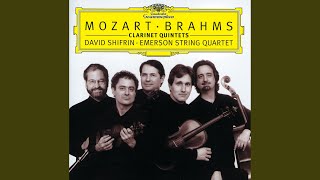 Brahms: Clarinet Quintet in B Minor, Op. 115 - 1. Allegro