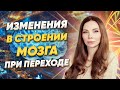 Сознание человека и Сверхсознание. В чем отличие строения мозга у Сверхчеловека и у обычных людей