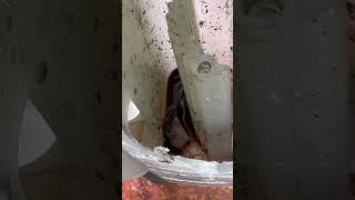Inside Audi 2.0t coolant Bottle expansion tank