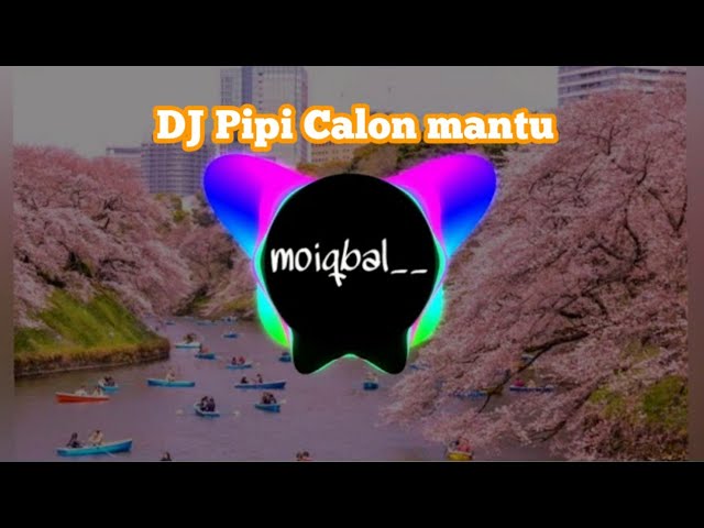 DJ PIPIPI CALON MANTU VIRAL TIK TOK 2020 class=