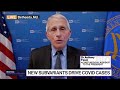 Fauci on Covid Subvariants, Funding and Monkeypox