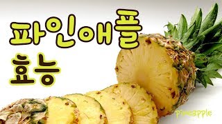 [Pineapple] 파인애플 효능 파인애플식초 다이어트 효과 l 모카 건강정보