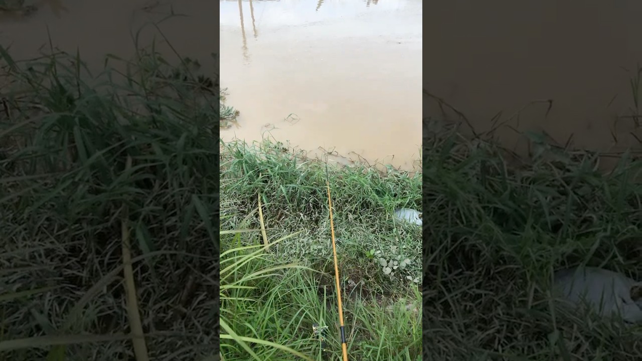 Hiburane gor mancing bolo